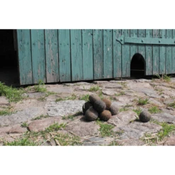 Helga Kreft Paardenuitwerpselen Speelset 8 Helga Kreft Paardenuitwerpselen Speelset -Kinderwereld Verkoop helga kreft paardenuitwerpselen speelset a292625 3