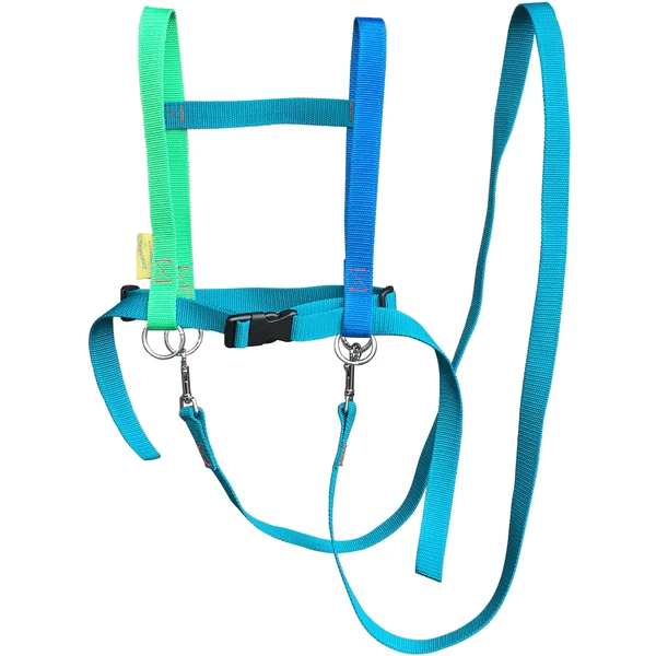 Helga Kreft Zügelmatz Paardenspeellijn, Blauw Gekleurd 3 Helga Kreft Zügelmatz Paardenspeellijn, Blauw Gekleurd - Afbeelding 3