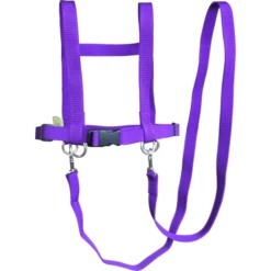 Helga Kreft Zügelmatz Paardenspeellijn, Paars 6 Helga Kreft Zügelmatz Paardenspeellijn, Paars -Kinderwereld Verkoop helga kreft zuegelmatz paardenspeellijn paars a334333 2