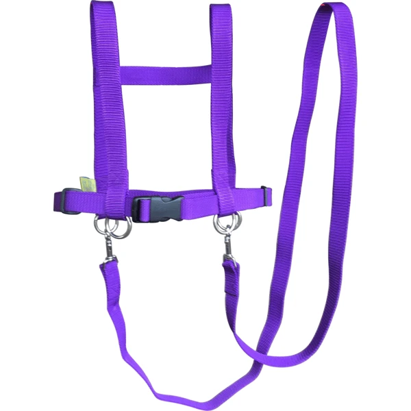 Helga Kreft Zügelmatz Paardenspeellijn, Paars 1 Helga Kreft Zügelmatz Paardenspeellijn, Paars